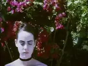 Jena Malone - The painted lady (2012)