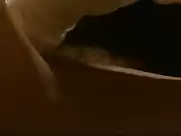 Corinne Corson - Joy