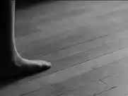 Esther Garrel - L Astragale