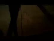 Natasa Janjic - St George Shoots The Dragon (2009)