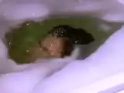 Anna Friel - Watermelon