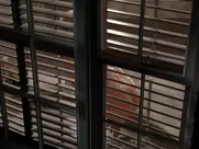 Melissa Moore nude, Rebecca Miller nude – Consenting Adults (1992)