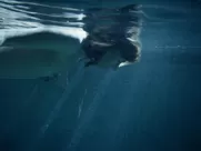 Dawn Olivieri nude – House of Lies s02e09 (2013)