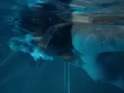 Dawn Olivieri nude – House of Lies s02e09 (2013)