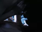 Olivia Nita nude – Comrade Detective s01e03 (2017)