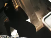 Paula Patton nude – Deja Vu (2006)