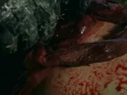 Nadia White, Brittany Blanton, Ayse Howard, Others  - Don’t Fuck in the Woods (2016)