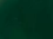 Nadia White, Brittany Blanton, Ayse Howard, Others  - Don’t Fuck in the Woods (2016)