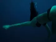 Teresa Palmer bikini – Point Break (2015)