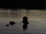 Annie Young, Brigette Lundy-Paine - Fix (2019)