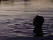 Annie Young, Brigette Lundy-Paine - Fix (2019)