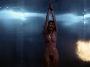 Johanna Brushay nude – Don’t Go In The House (1980)