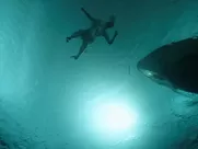 Nalani Wakita naked - Altered Carbon s01e02 (2018)