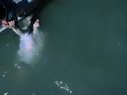 Nalani Wakita naked - Altered Carbon s01e02 (2018)