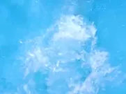 Kristina Emerson nude, Lindsay Anne Williams sexy – Demons (2017)