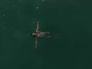 Ragga Ragnars nude - Vikings s06e15 (2020)