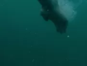 Ragga Ragnars nude - Vikings s06e15 (2020)