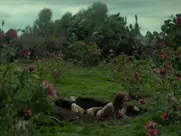 Jena Malone nude – The Neon Demon (2016)