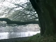 Ida Marie Nielsen Nude - Vikings s04e11 (2017)