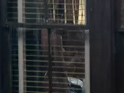 Gretchen Palmer nude – Red Heat (1988)