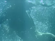 Paola Nunez nude - Deseo (2013)