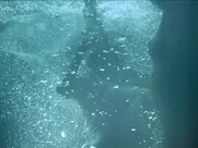 Paola Nunez nude - Deseo (2013)