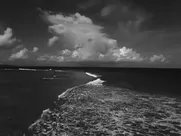 Isabeli Fontana Nude - Lui (2016)