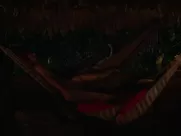 Vimala Pons Naked - La loi de la jungle (2016)