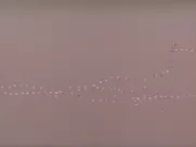 Svetlana Khodchenkova nude - Bless the woman (2003)