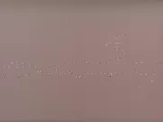 Svetlana Khodchenkova nude - Bless the woman (2003)