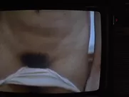 Julia Montgomery, Colleen Madden naked – Revenge of the Nerds (1984)