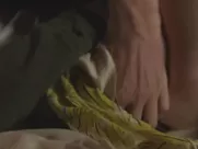 Deborah Ann Woll, Adelaide Clemens, Catherine Carlen, Vienna Stampeen nude - The Automatic Hate (2016)