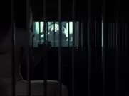Elisabeth Hower Nude - Escape Room (2018)
