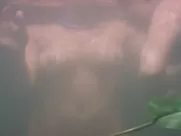 Anu Agarwal nude – The Cloud Door (1994)