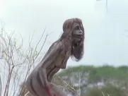 Rae Dawn Chong nude – Quest for Fire (1981)