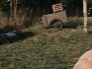 Anna Fitoussi nude - Freischwimmer (2019)