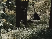 Hwang Geum-hee, Lee Joo-hee Nude - Couple In The Forest (2017)