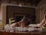 Diana Patricia Hoyos Nude - Sniper Ultimate Kill (2017)