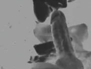 Riley Keough - The Devil All the Time (2020)