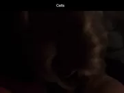 Dubravka Kovjanic  - Kelti 2021 Sex scene in the street