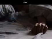 Dubravka Kovjanic  - Kelti 2021 Morning pleasure