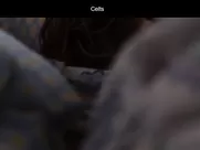 Dubravka Kovjanic  - Kelti 2021 Morning pleasure