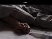 Dubravka Kovjanic  - Kelti 2021 Morning pleasure