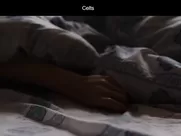 Dubravka Kovjanic  - Kelti 2021 Morning pleasure