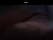 Dubravka Kovjanic  - Kelti 2021 Morning pleasure