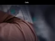 Dubravka Kovjanic  - Kelti 2021 Morning pleasure