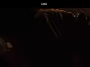 Nada Sargin and Jelena Djokic Kelti Fingering pussy