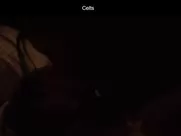 Nada Sargin and Jelena Djokic Kelti Fingering pussy