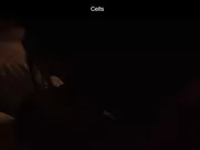 Nada Sargin and Jelena Djokic Kelti Fingering pussy