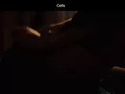 Nada Sargin and Jelena Djokic Kelti Fingering pussy